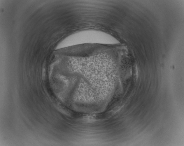 X0000084030080200703161816