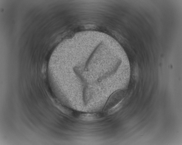 X0000084030082200703161816