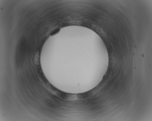 X0000084030083200703161816