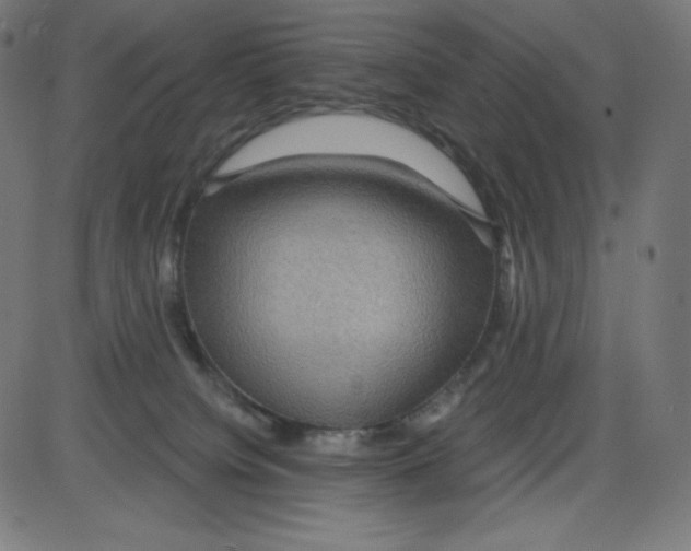 X0000084030084200703161816