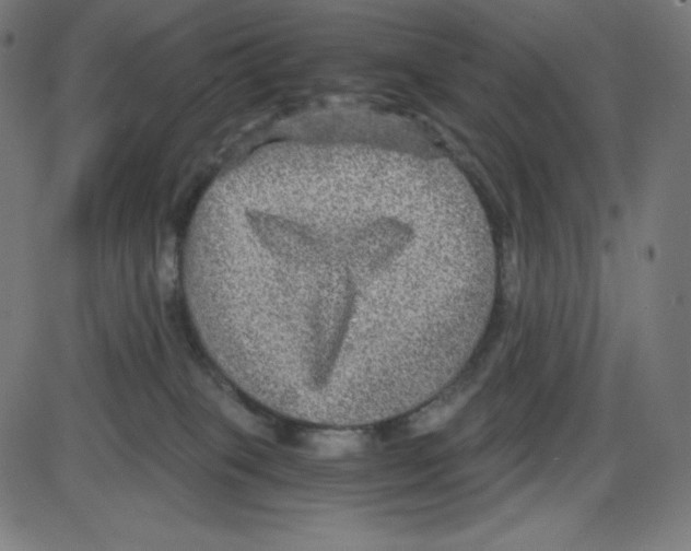 X0000084030085200703161817