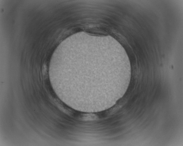 X0000084030087200703161817