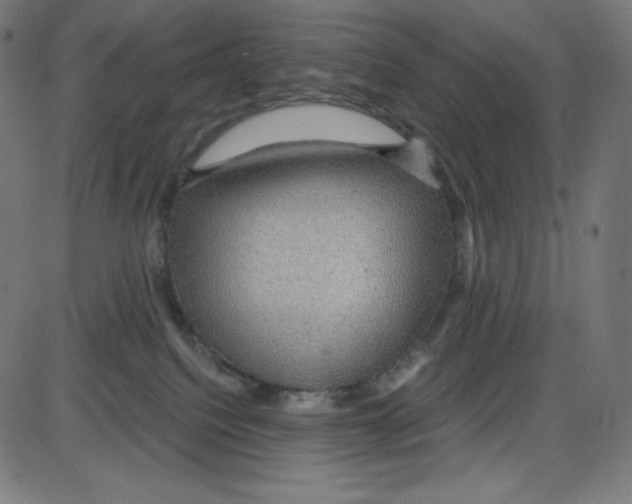 X0000084030088200703161817