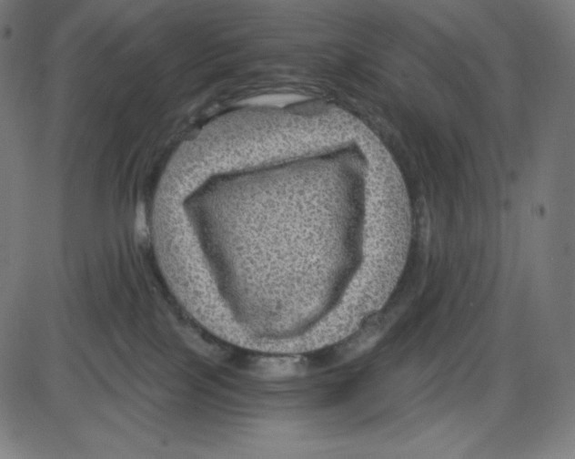 X0000084030089200703161817