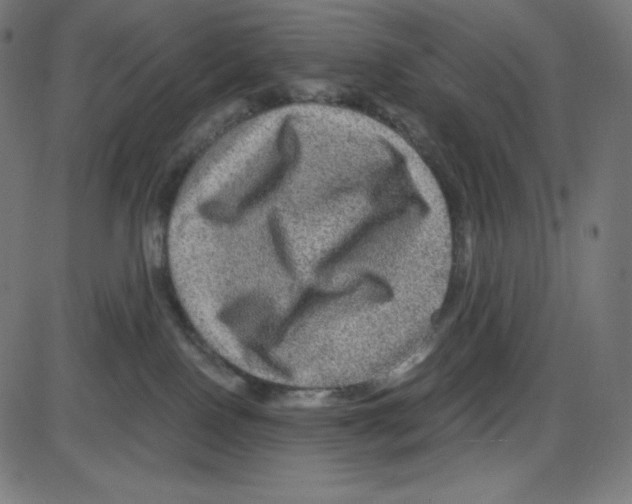 X0000084030090200703161817