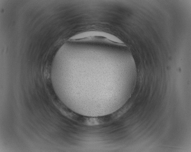 X0000084030091200703161817