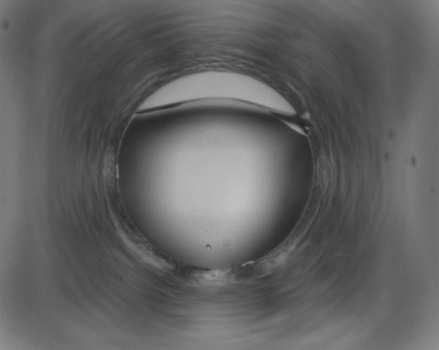 X0000084030092200703161817