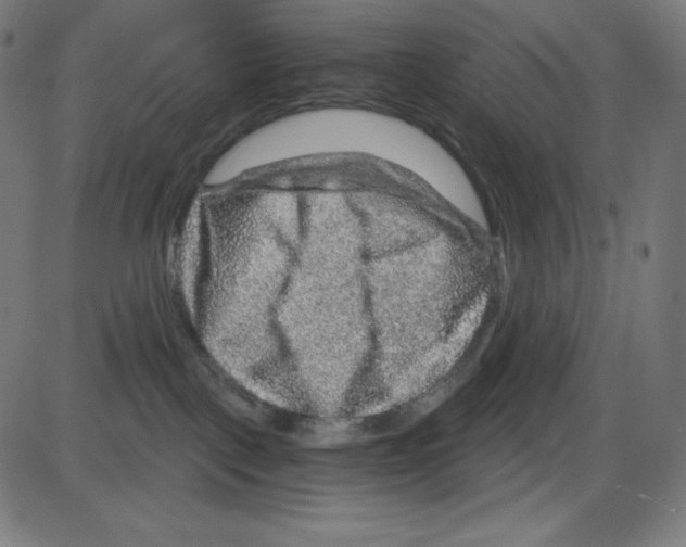 X0000084030093200703161817