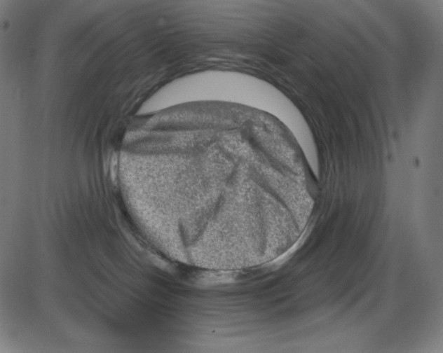 X0000084030094200703161817