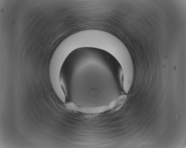 X0000084030095200703161817