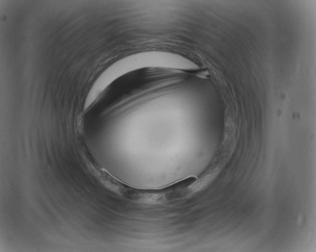 X0000084030096200703161817