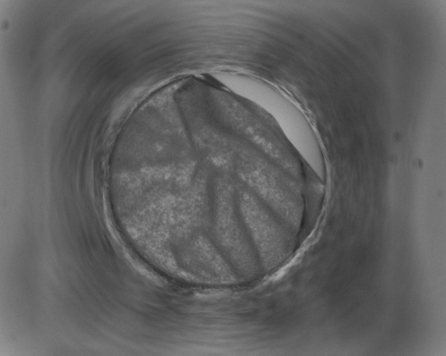 X0000084030097200703161816