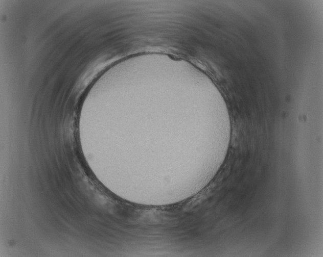 X0000084030098200703161816