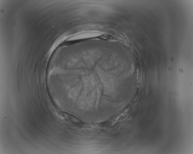 X0000084030099200703161816