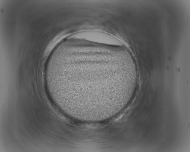 X0000084030103200703161816