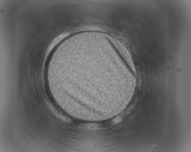 X0000084030104200703161816