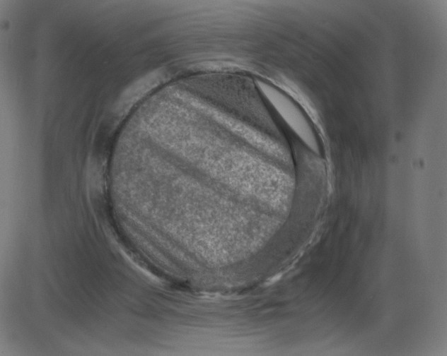 X0000084030105200703161816