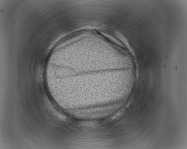 X0000084030106200703161816