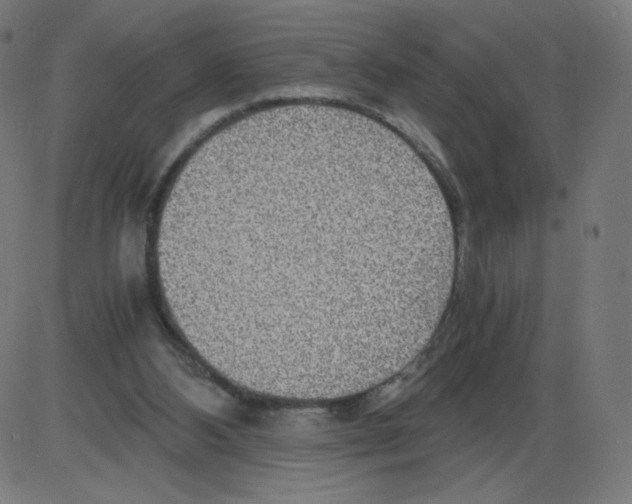 X0000084030108200703161816