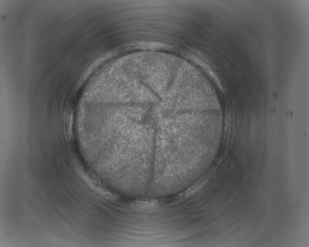 X0000084030110200703161816