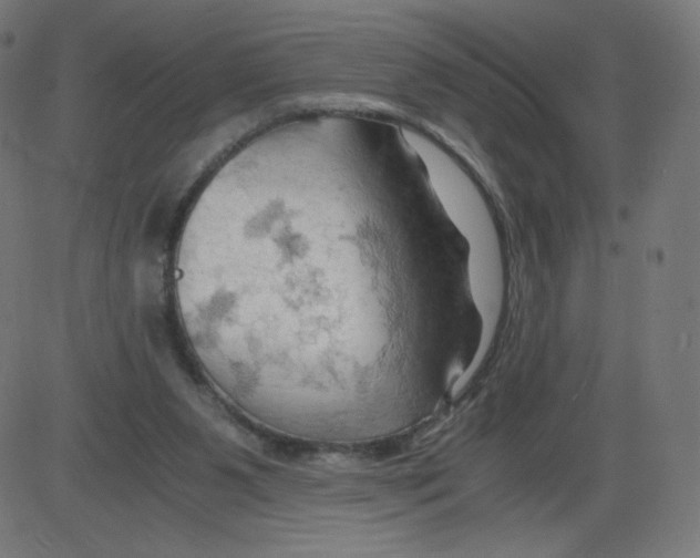 X0000084030111200703161816