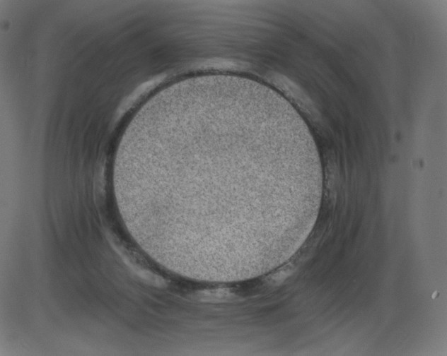 X0000084030112200703161816