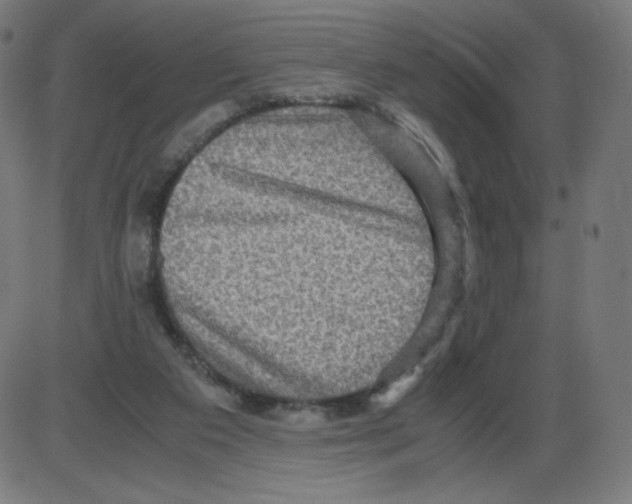 X0000084030113200703161816