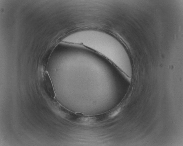 X0000084030117200703161816