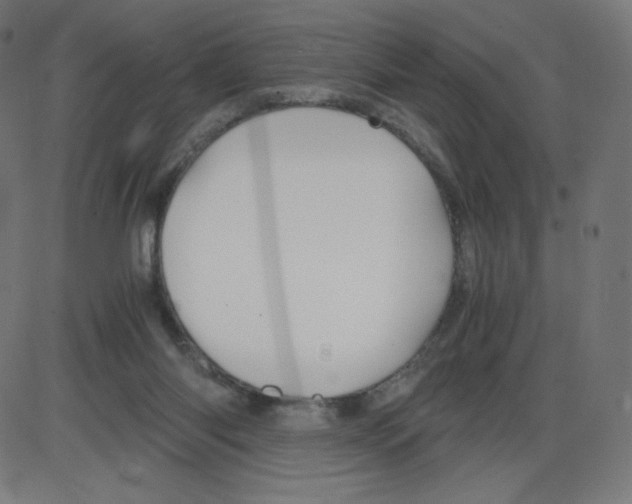 X0000084030118200703161816