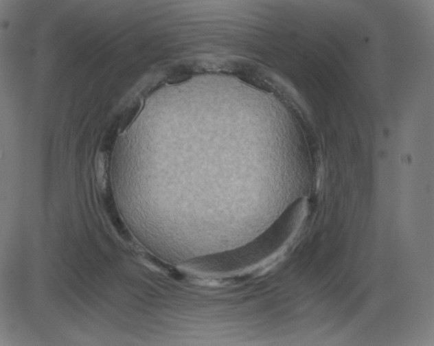 X0000084030121200703161815