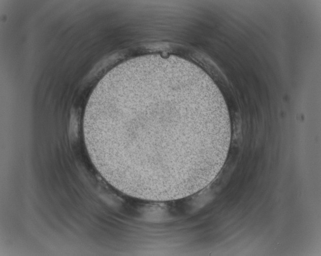 X0000084030124200703161815