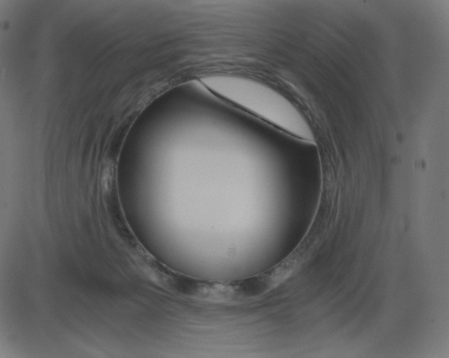 X0000084030125200703161815