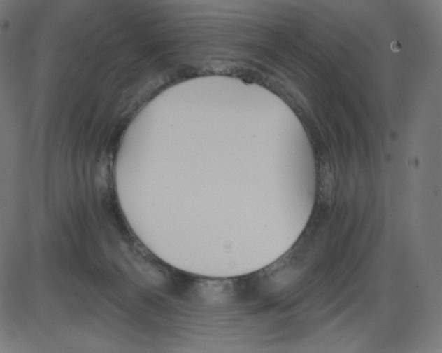 X0000084030126200703161815