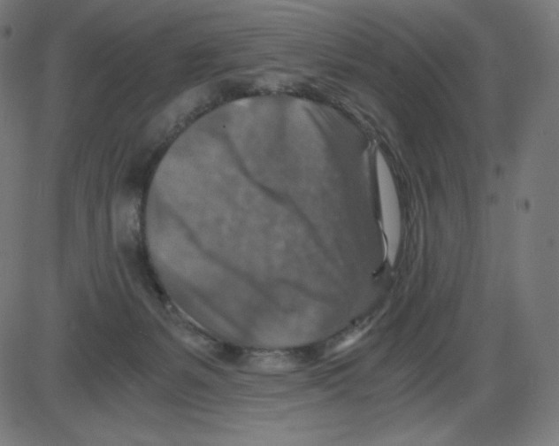 X0000084030127200703161815