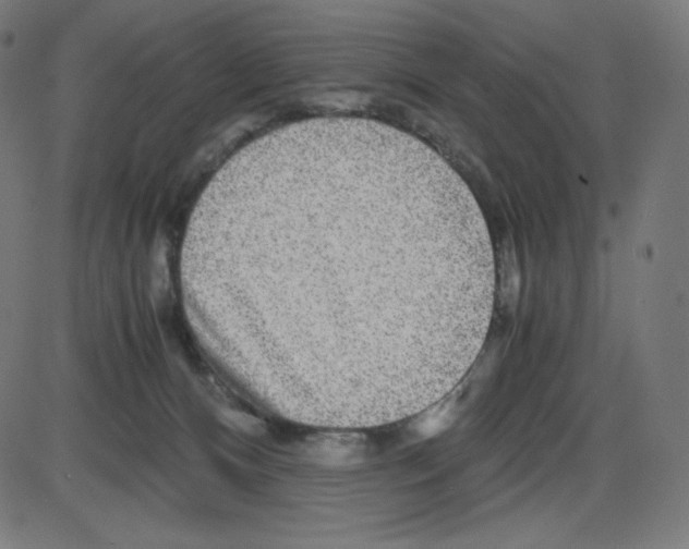 X0000084030128200703161815