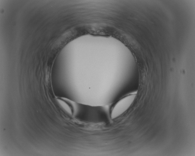 X0000084030129200703161815