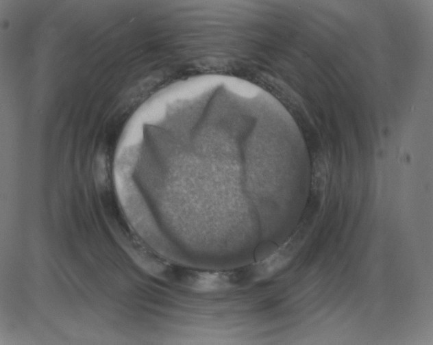 X0000084030130200703161815