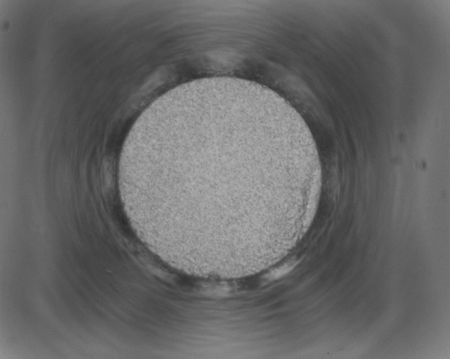 X0000084030131200703161815