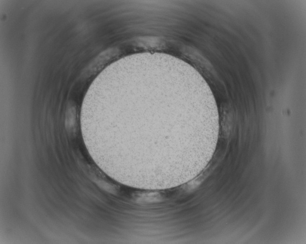 X0000084030132200703161815