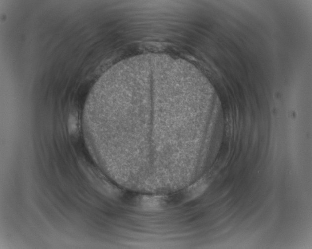 X0000084030134200703161815