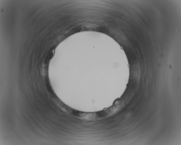 X0000084030135200703161815