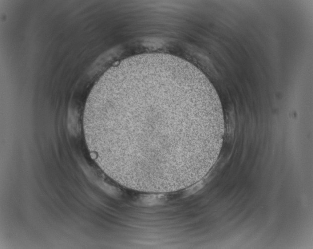 X0000084030136200703161815