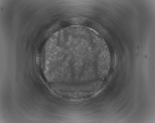 X0000084030137200703161815