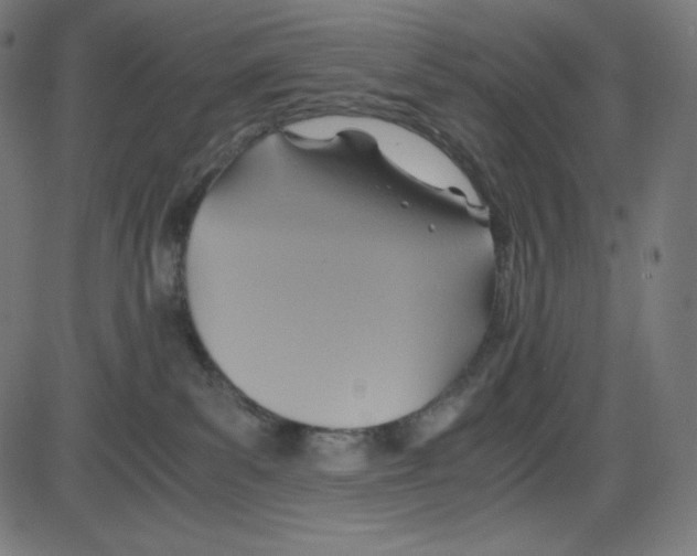 X0000084030139200703161815