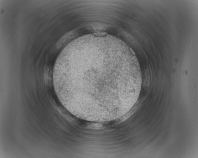 X0000084030140200703161815