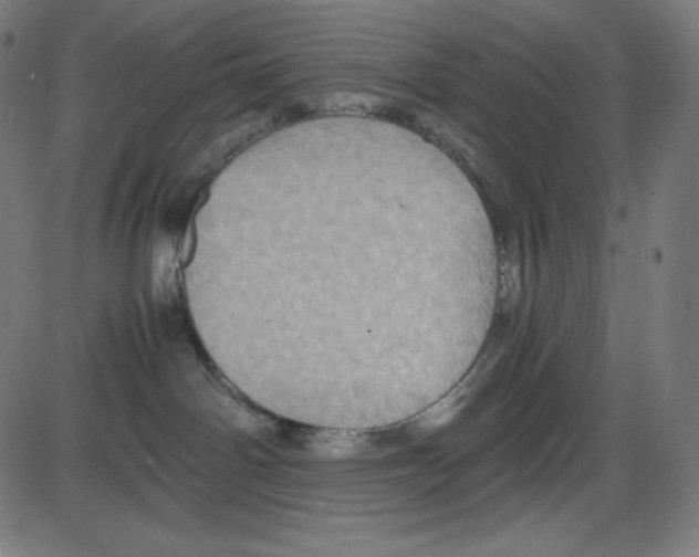 X0000084030142200703161815