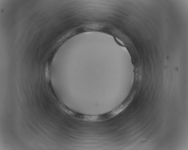 X0000084030143200703161815