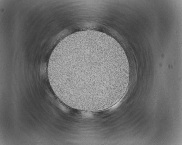 X0000084030144200703161815