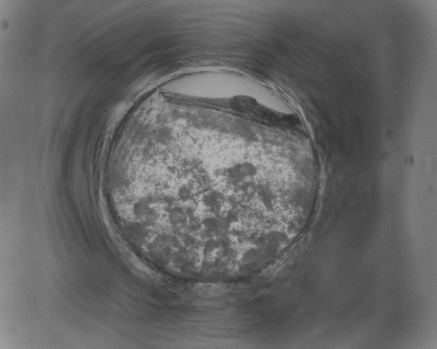 X0000084030145200703161814