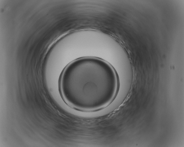 X0000084030146200703161814